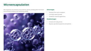 Microencapsulation
Microorganisms are enclosed in tiny protective capsules, shielding them from harsh
environmental conditions and maintaining viability.
Advantages
• Protection from harsh conditions.
• Controlled release possible.
• Suitable for industrial applications.
Disadvantages
• Complex and costly process.
• Requires specialized equipment and expertise.
 