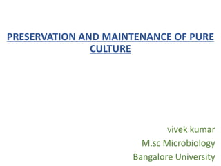 PRESERVATION AND MAINTENANCE OF PURE
CULTURE
Vivek kumar
M.sc Microbiology
Bangalore University
 
