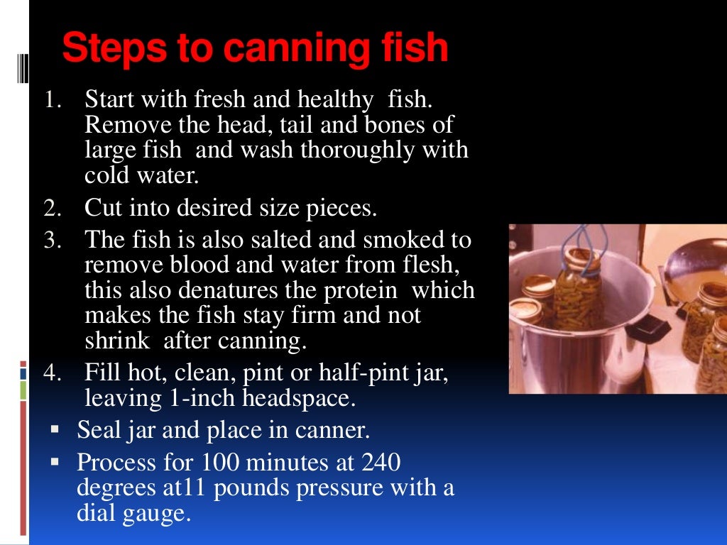 Preservation and processing of fish