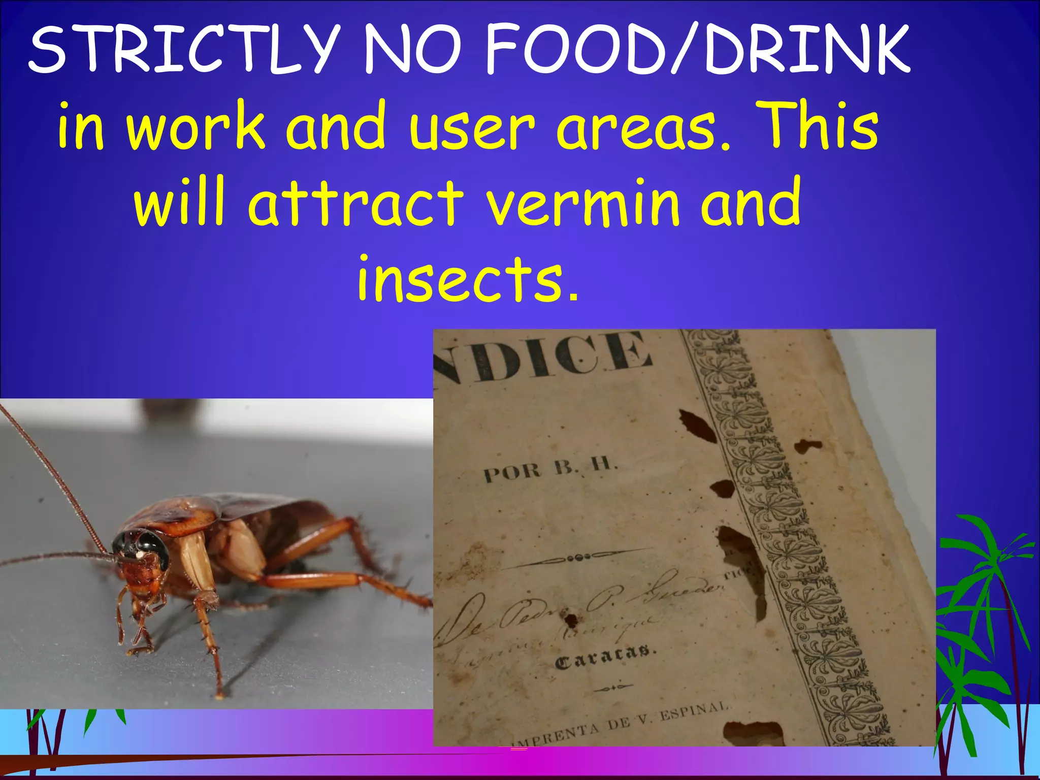 STRICTLY NO FOOD/DRINK
in work and user areas. This
will attract vermin and
insects.
 