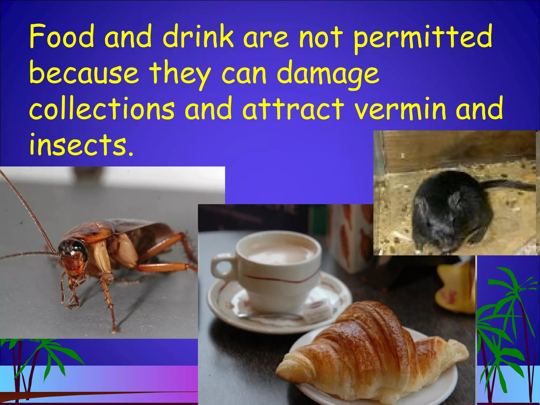 Food and drink are not permitted
because they can damage
collections and attract vermin and
insects.
 