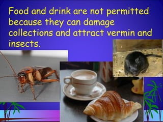 Food and drink are not permitted
because they can damage
collections and attract vermin and
insects.
 