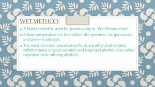 WET METHOD:
o A Fluid material is used for preservation in “Wet Preservation”.
o A fluid preservative has to stabilize the specimen, be germicidal,
and prevent autolysis.
o The most common preservative fluids are ethyl alcohol (also
called ethanol or grain alcohol) and isopropyl alcohol (also called
isopropanol or rubbing alcohol).
 