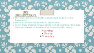 Preservation methods | PPT
