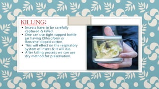 Preservation methods | PPTX
