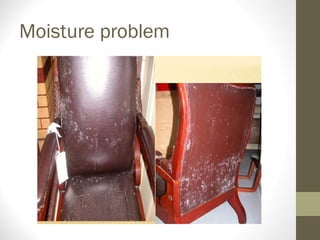 Moisture problem
 