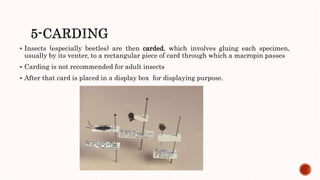 Preservation of dry specimens | PPTX