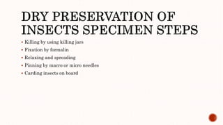 Preservation of dry specimens | PPTX