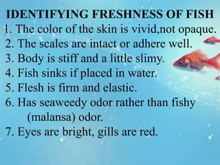 IDENTIFYING FRESHNESS OF FISH
1. The color of the skin is vivid,not opaque.
2. The scales are intact or adhere well.
3. Body is stiff and a little slimy.
4. Fish sinks if placed in water.
5. Flesh is firm and elastic.
6. Has seaweedy odor rather than fishy
(malansa) odor.
7. Eyes are bright, gills are red.
 