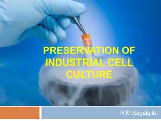 PRESERVATION OF
INDUSTRIAL CELL
CULTURE
R.M.Sagalgile.
 