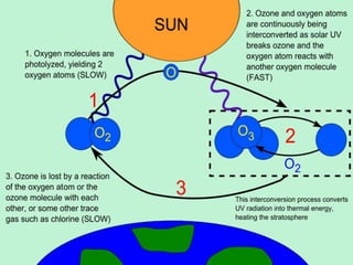 Preservation of Ozone Layer.pptx