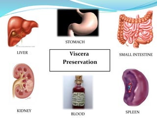 Viscera
Preservation
STOMACH
LIVER
SPLEEN
SMALL INTESTINE
KIDNEY
BLOOD
 