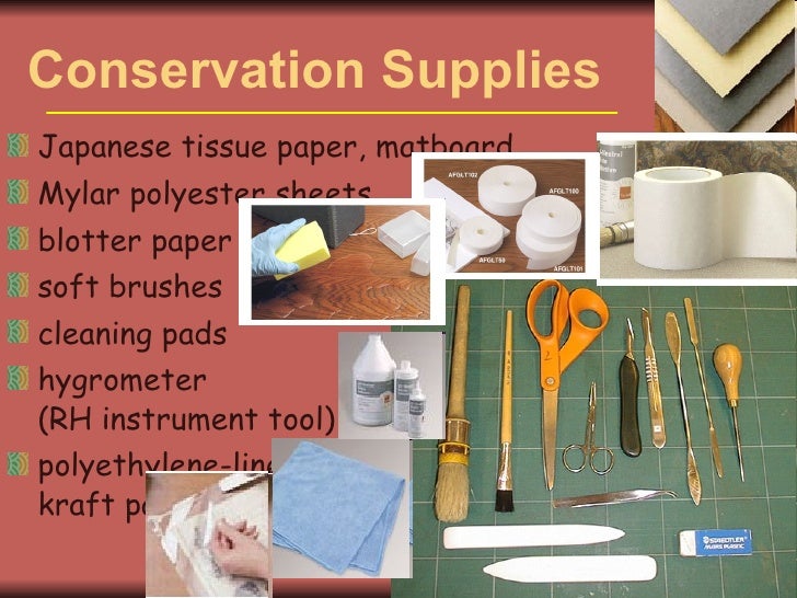 Preservation Strategies For Library And Archival Resources