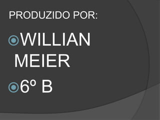 PRODUZIDO POR:WILLIAN MEIER            6º B