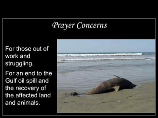 Prayer Concerns For those out of work and struggling. For an end to the Gulf oil spill and the recovery of the affected land and animals. 
