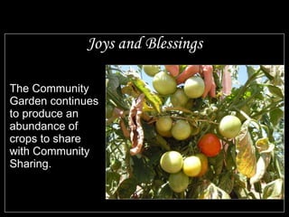 Joys and Blessings The Community Garden continues to produce an abundance of crops to share with Community Sharing. 
