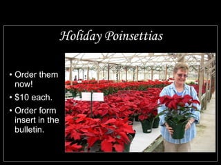 Holiday Poinsettias Order them now! $10 each. Order form insert in the bulletin. 