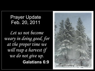 Prayer Update Feb. 20, 2011 ,[object Object],[object Object],Community United Methodist Church 