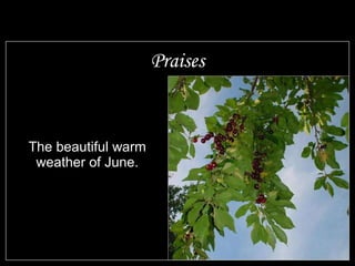 Praises The beautiful warm weather of June. Those serving in the military to keep us all free Those serving in the military to keep us all free 