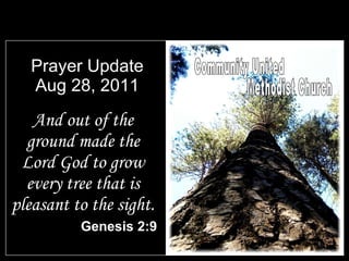 Prayer Update Aug 28, 2011 ,[object Object],[object Object],Community United Methodist Church 