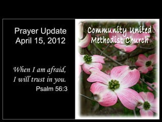 Prayer Update
April 15, 2012


When I am afraid,
I will trust in you.
        Psalm 56:3
 