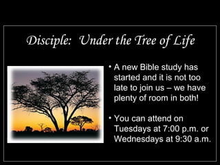 Disciple: Under the Tree of Life
               • A new Bible study has
                 started and it is not too
                 late to join us – we have
                 plenty of room in both!

               • You can attend on
                 Tuesdays at 7:00 p.m. or
                 Wednesdays at 9:30 a.m.
 