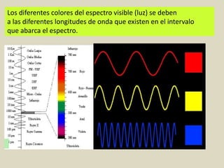 Los diferentes colores del espectro visible (luz) se deben
a las diferentes longitudes de onda que existen en el intervalo
que abarca el espectro.
 