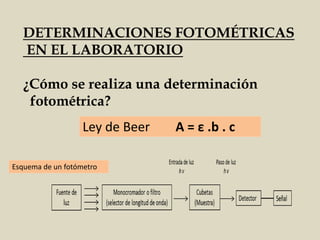 DETERMINACIONES FOTOMÉTRICAS
EN EL LABORATORIO
¿Cómo se realiza una determinación
fotométrica?
Esquema de un fotómetro
Ley de Beer A = ε .b . c
 