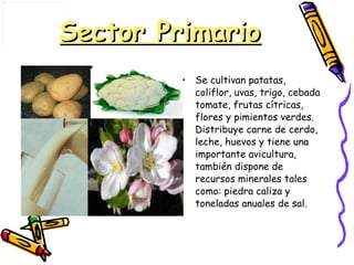 Sector Primario Se cultivan patatas, coliflor, uvas, trigo, cebada tomate, frutas cítricas, flores y pimientos verdes. Distribuye carne de cerdo, leche, huevos y tiene una importante avicultura, también dispone de recursos minerales tales como: piedra caliza y  toneladas anuales de sal. 