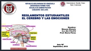 Nombre:
Wasem Khowis
C,I, 26.172.472
Prof. María Pérez
REGLAMENTOS ESTUDIANTILES
EL CEREBRO Y LAS EMOCIONES
REPUBLICA BOLIVARIANA DE VENEZUELA
UNIVERSIDAD FERMIN TORO
ESCUELA DE ADMINISTRACION
CABUDARE EDO LARA
Saia “B”
Septiembre, 2019
 