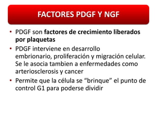 FACTORES PDGF Y NGF
• PDGF son factores de crecimiento liberados
  por plaquetas
• PDGF interviene en desarrollo
  embrionario, proliferación y migración celular.
  Se le asocia tambien a enfermedades como
  arteriosclerosis y cancer
• Permite que la célula se “brinque” el punto de
  control G1 para poderse dividir
 
