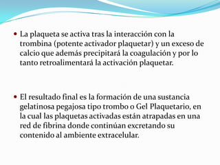  La plaqueta se activa tras la interacción con la
  trombina (potente activador plaquetar) y un exceso de
  calcio que además precipitará la coagulación y por lo
  tanto retroalimentará la activación plaquetar.



 El resultado final es la formación de una sustancia
  gelatinosa pegajosa tipo trombo o Gel Plaquetario, en
  la cual las plaquetas activadas están atrapadas en una
  red de fibrina donde continúan excretando su
  contenido al ambiente extracelular.
 