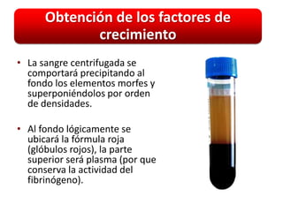 Obtención de los factores de
             crecimiento
• La sangre centrifugada se
  comportará precipitando al
  fondo los elementos morfes y
  superponiéndolos por orden
  de densidades.

• Al fondo lógicamente se
  ubicará la fórmula roja
  (glóbulos rojos), la parte
  superior será plasma (por que
  conserva la actividad del
  fibrinógeno).
 