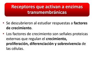 Receptores que activan a enzimas
            transmembránicas

• Se descubrieron al estudiar respuestas a factores
  de crecimiento.
• Los factores de crecimiento son señales proteicas
  externas que regulan el crecimiento,
  proliferación, diferenciación y sobrevivencia de
  las células.
 