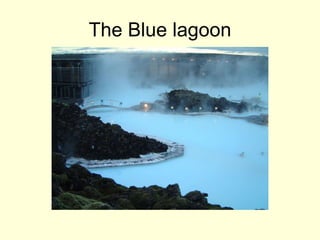 The Blue lagoon 
