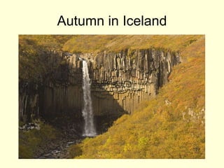 Autumn in Iceland 