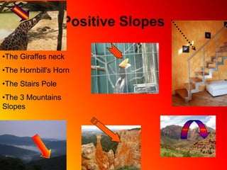 Positive SlopesThe Giraffes neck