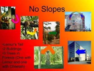 The 3 Mountains SlopesNegative SlopesThe Giraffes Neck