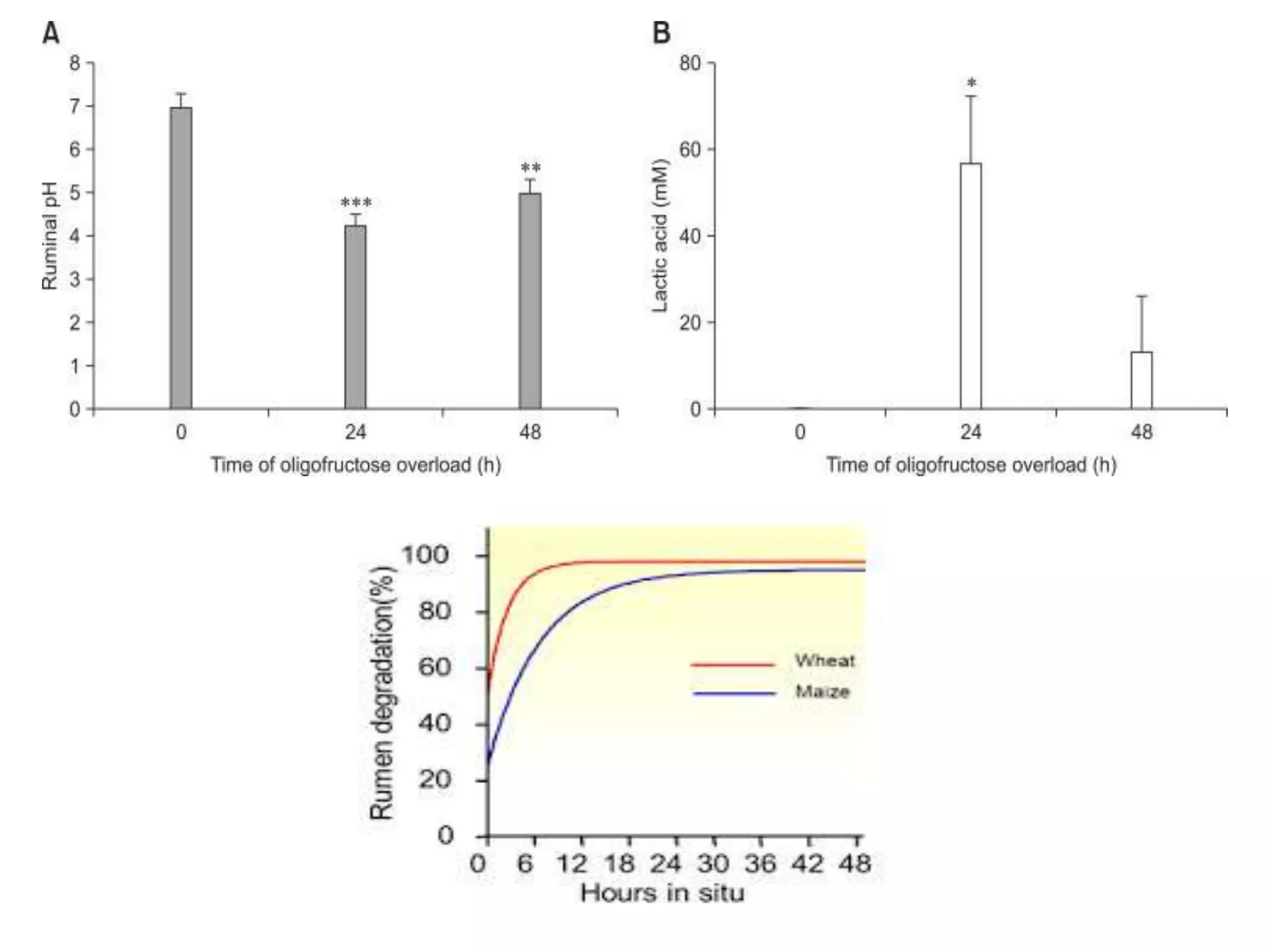 Presetation on rumen impaction lactic acidosis final osr | PPTX