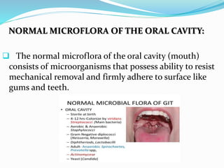 NORMAL MICROFLORA OF THE ORAL CAVITY:
 The normal microflora of the oral cavity (mouth)
consists of microorganisms that possess ability to resist
mechanical removal and firmly adhere to surface like
gums and teeth.
 