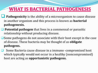 WHAT IS BACTERIAL PATHOGENESIS
 Pathogenicity is the ability of a microorganism to cause disease
in another organism and this process is known as bacterial
pathogenesis.
 Potential pathogen that lives in a commensal or parasitic
relationship without producing disease.
Some pathogens do not associate with their host except in the case
of disease. These bacteria may be thought of as obligate
pathogens.
 Some Bacteria cause disease in a immuno -compromised host
which typically would not occur in a healthy (noncompromised)
host are acting as opportunistic pathogens.
 