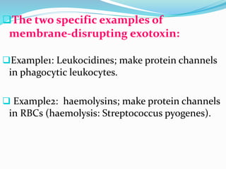 The two specific examples of
membrane-disrupting exotoxin:
Example1: Leukocidines; make protein channels
in phagocytic leukocytes.
 Example2: haemolysins; make protein channels
in RBCs (haemolysis: Streptococcus pyogenes).
 