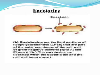Endotoxins
 