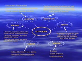 ACTITUDES ESTAR DE PIE ABIERTA CERRADA CAMINAR SENTARSE ACOSTARSE Cuanto más derecho se mantiene uno, más recta es la actitud interior, si se inclina hacia delante es persona insegura, si lo hace hacia atrás es persona impetuosa. Postura fetal : Actitud cerrada Duermen boca abajo: Deciden por si mismos. Sobre la espalda: Seguridad, confianza. El peso del cuerpo hacia delante de las caderas: Persona indispuesta o insegura. El peso del cuerpo sobre las caderas: Actitud flexible y abierta. Peso del cuerpo atrás de las caderas: Actitud flexible y abierta Extrovertida: Mirando hacia delante. Introvertida: Mirando hacia abajo. Ocultarse Cruzar los brazos Desviar la mirada Se presenta una apertura hacia los otros y frente al mundo: Posición erguida, mirada fija, brazos a los costados 