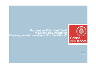 Du Haut au Très Haut Débit
                la Caisse des Dépôts et
l’aménagement numérique des territoires?




                                                                               Hélène Lambling

                                           Département Développement Numériques des Territoires

                                                                                     Mars 2010
 