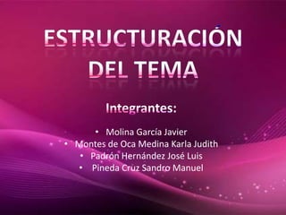 • Molina García Javier
• Montes de Oca Medina Karla Judith
• Padrón Hernández José Luis
• Pineda Cruz Sandro Manuel
 