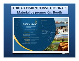 FORTALECIMIENTO INSTITUCIONAL:
  Material de promoción: Booth
 