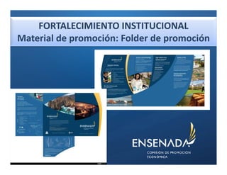 FORTALECIMIENTO INSTITUCIONAL
Material de promoción: Folder de promoción
 