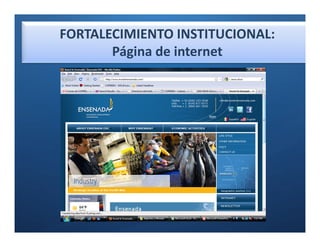 FORTALECIMIENTO INSTITUCIONAL:
       Página de internet
 