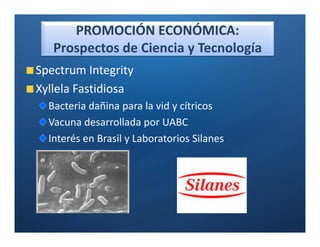 PROMOCIÓN ECONÓMICA:
   Prospectos de Ciencia y Tecnología
Spectrum Integrity
Xyllela Fastidiosa
  Bacteria dañina para la vid y cítricos
  Vacuna desarrollada por UABC
  Interés en Brasil y Laboratorios Silanes
 